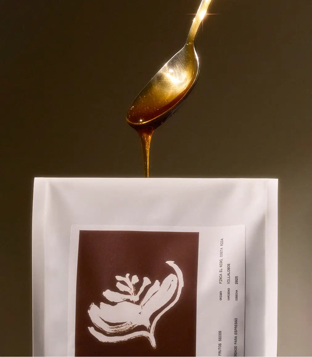 Pack Degustación: Caliu + Bru + Persica